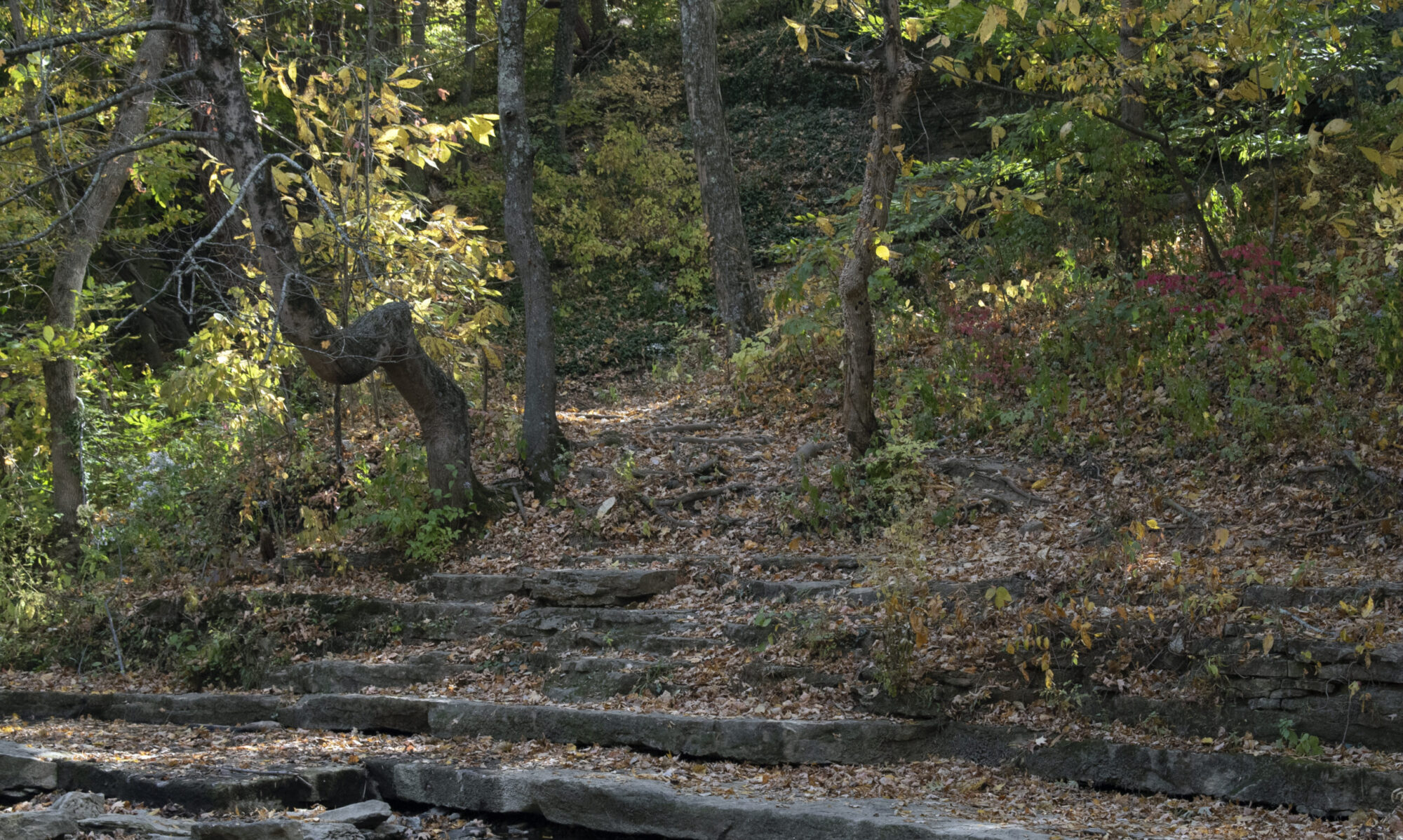 Big Rock Park, Louisville KY.